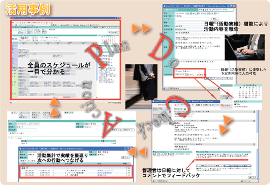 肷 p